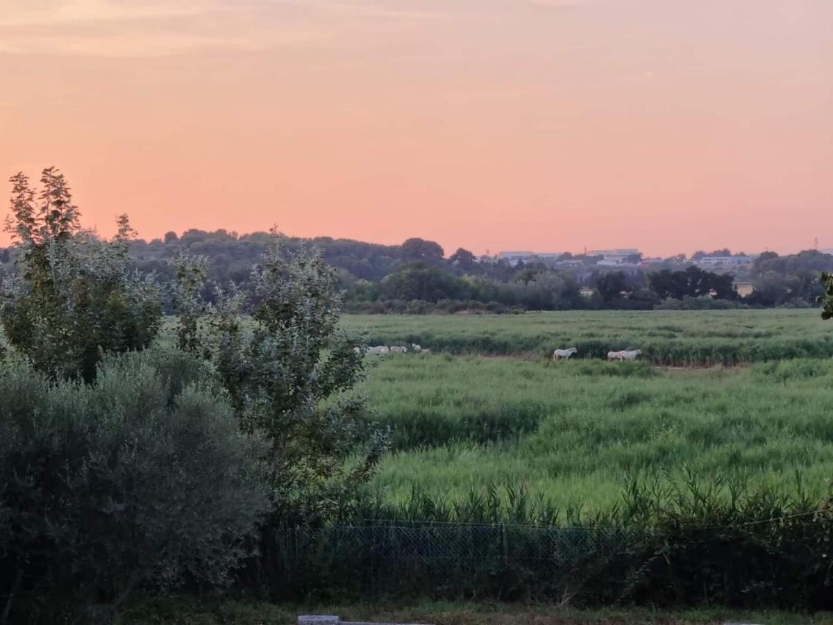 Gites De L'Estagnol Villeneuve-les-Maguelonne Εξωτερικό φωτογραφία