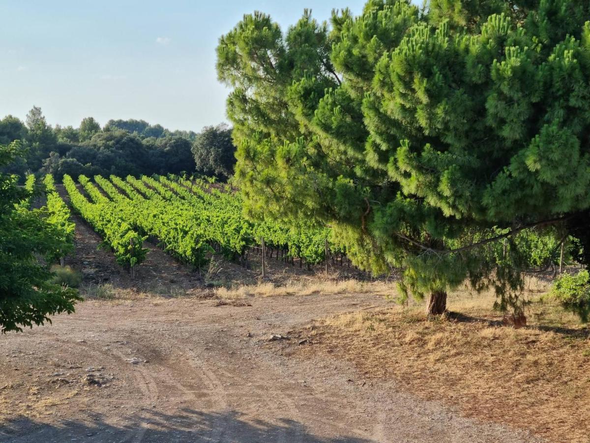 Gites De L'Estagnol Villeneuve-les-Maguelonne Εξωτερικό φωτογραφία