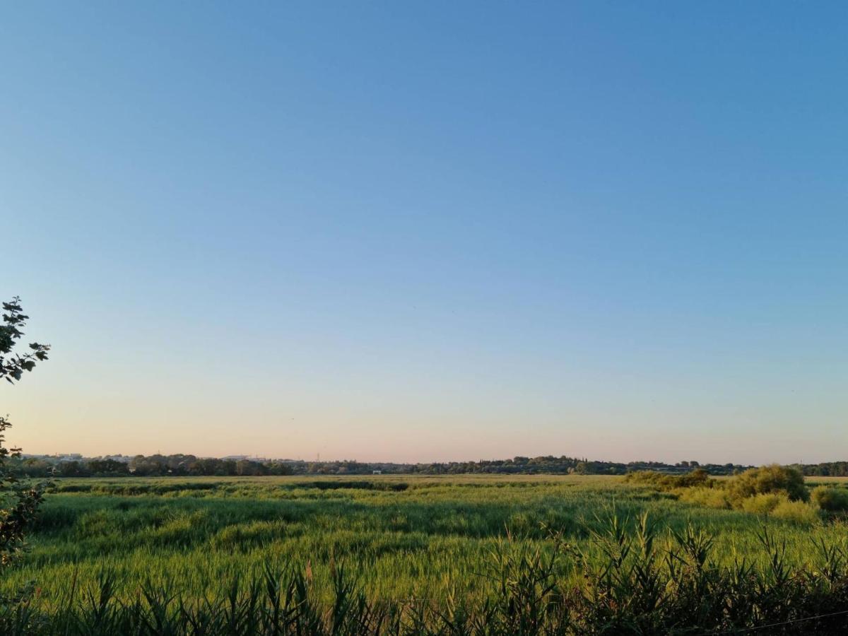 Gites De L'Estagnol Villeneuve-les-Maguelonne Εξωτερικό φωτογραφία