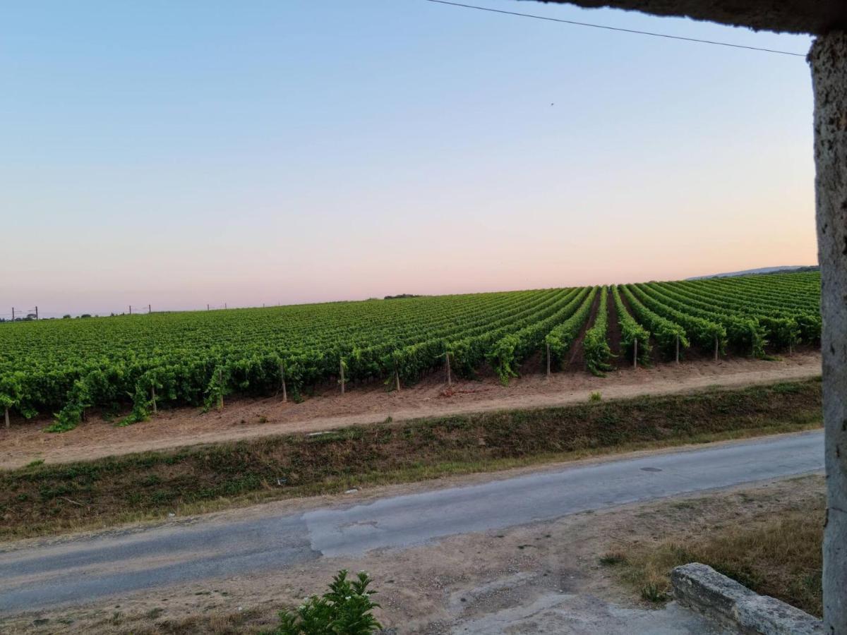 Gites De L'Estagnol Villeneuve-les-Maguelonne Εξωτερικό φωτογραφία